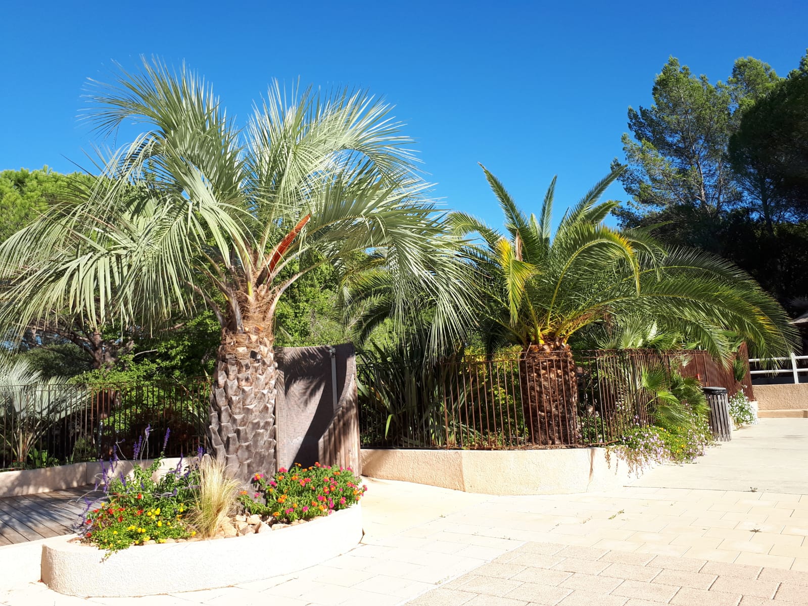 natuur-les-suveis-harberszonvakanties